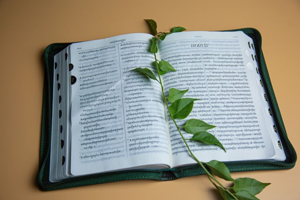 a-book-open-with-a-plant-on-the-pages-zpffybzmczw