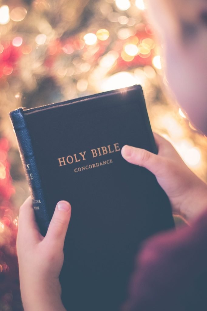 holy, book, bible, reading, religious, hand, bible, bible, bible, bible, bible